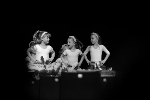 IMG 7826