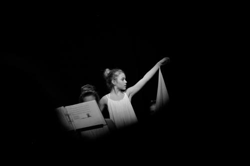 IMG 7837