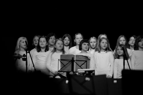 IMG 7852